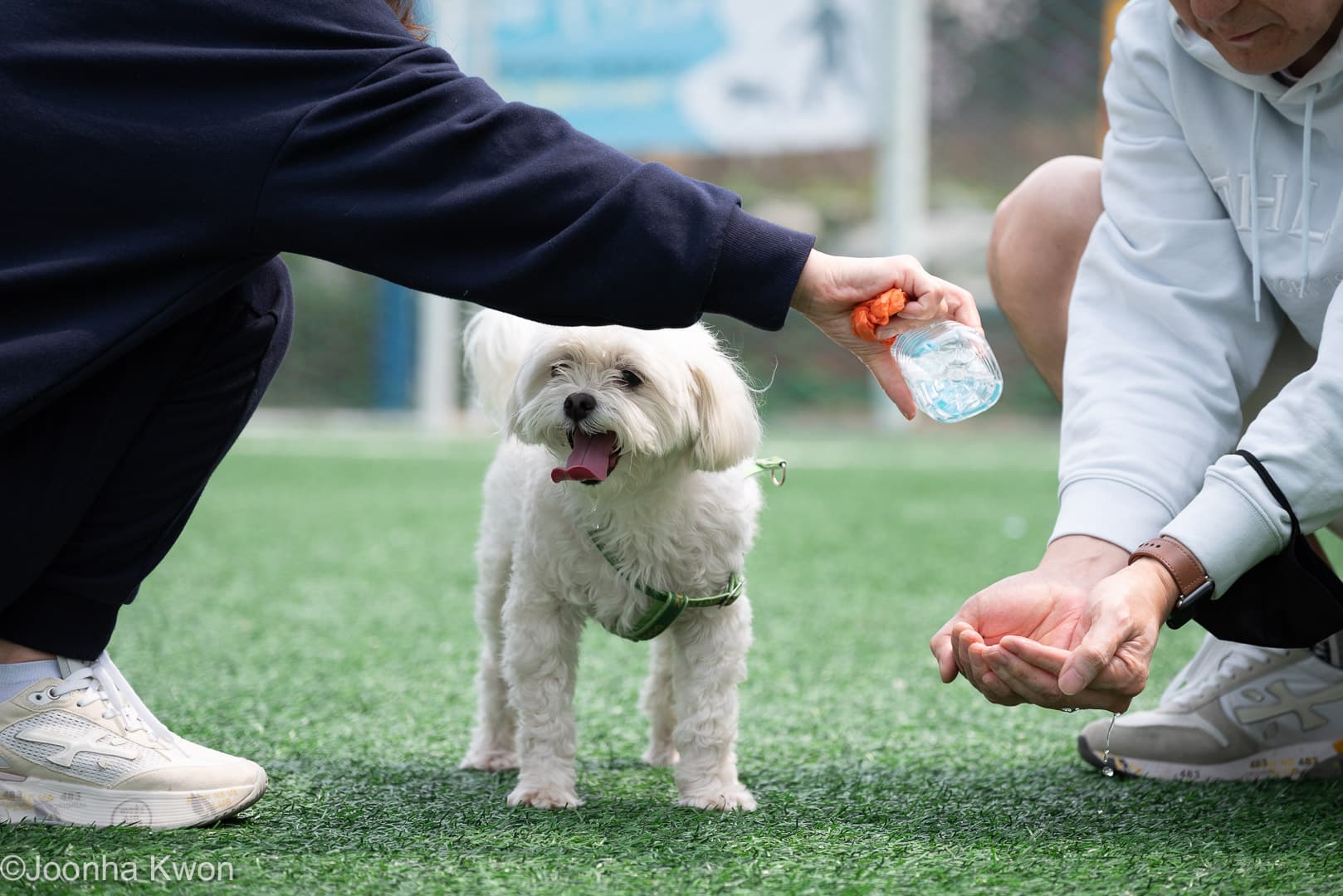 포코독 파트너십